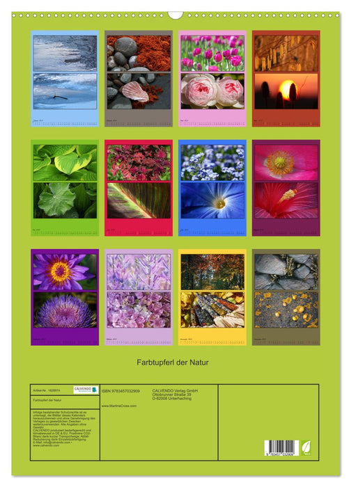 Farbtupferl der Natur (CALVENDO Wandkalender 2025)