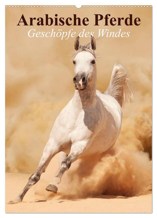 Arabische Pferde • Geschöpfe des Windes (CALVENDO Wandkalender 2025)