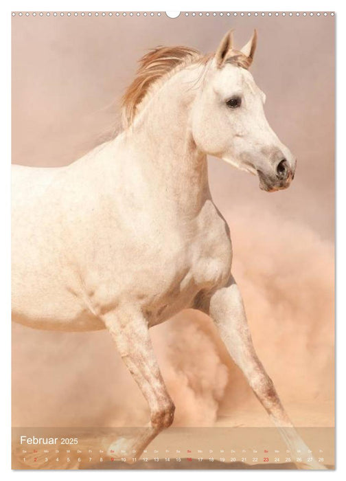 Arabische Pferde • Geschöpfe des Windes (CALVENDO Wandkalender 2025)
