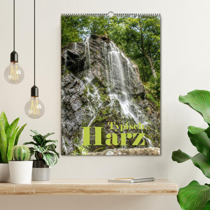 Typisch Harz (CALVENDO Wandkalender 2025)