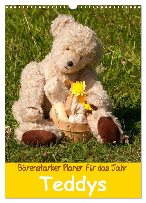 Bärenstarker Planer für das Jahr – Teddys (CALVENDO Wandkalender 2025)