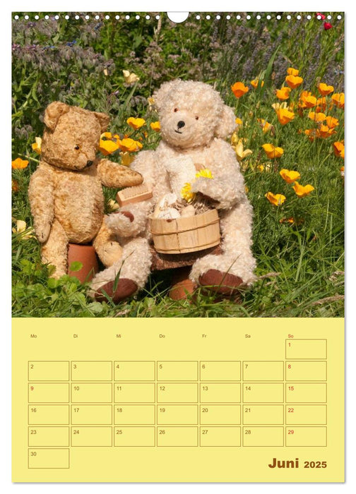 Bärenstarker Planer für das Jahr – Teddys (CALVENDO Wandkalender 2025)