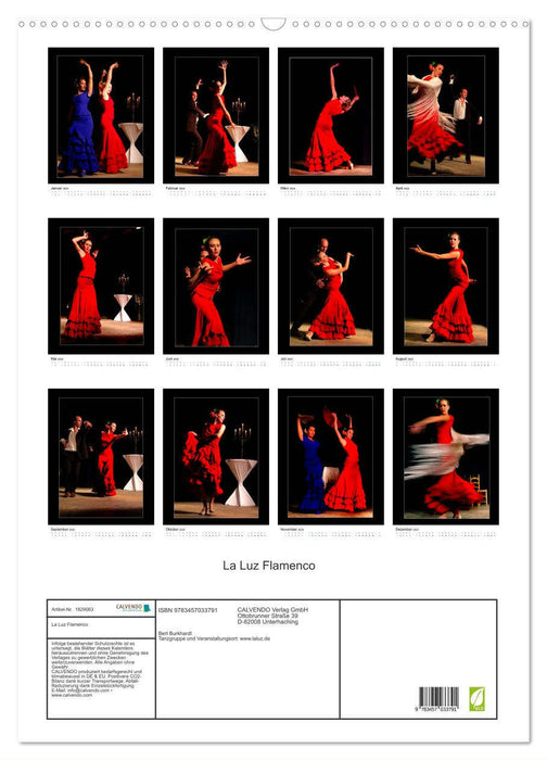 La Luz Flamenco (CALVENDO Wandkalender 2025)