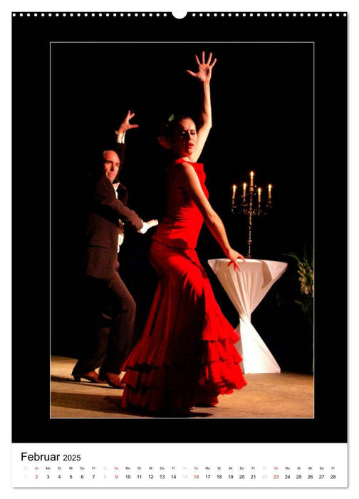 La Luz Flamenco (CALVENDO Wandkalender 2025)