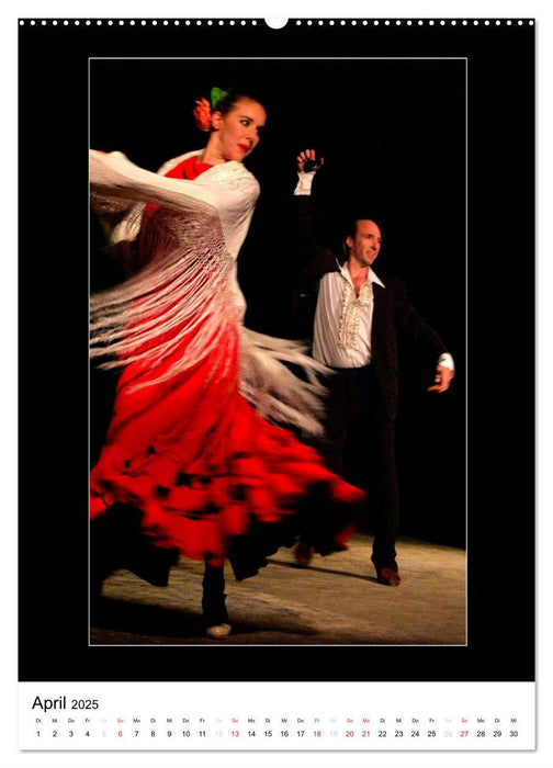 La Luz Flamenco (CALVENDO Wandkalender 2025)