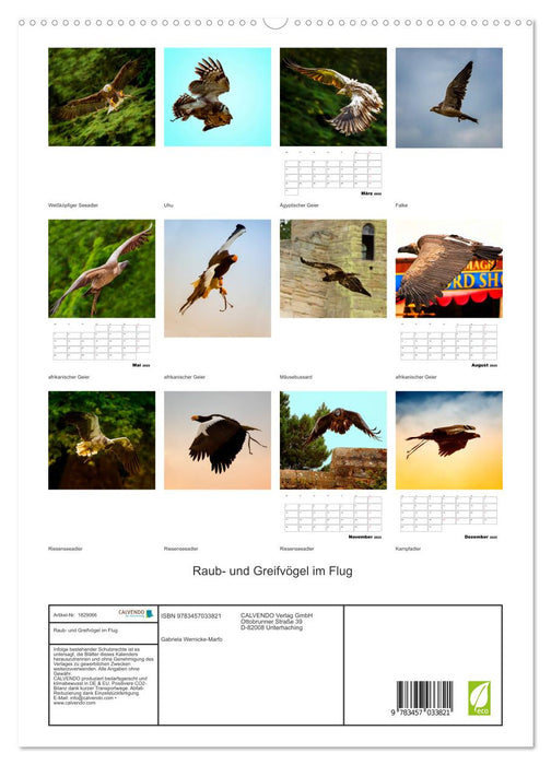 Raub- und Greifvögel im Flug (CALVENDO Premium Wandkalender 2025)