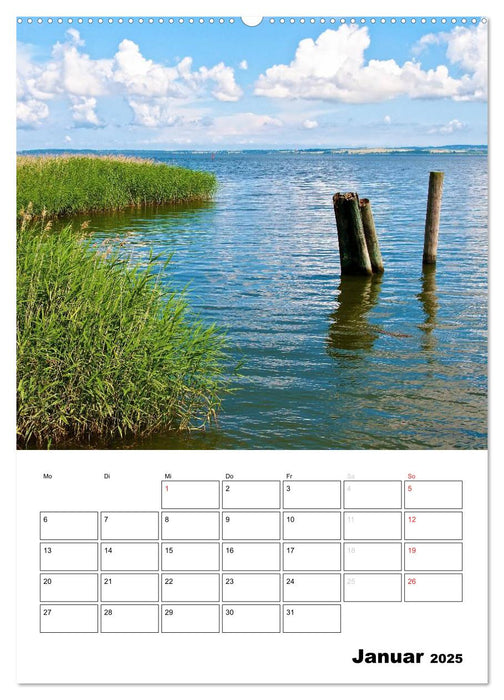 Rügen und Hiddensee - Bilder eines Sommers / Planer (CALVENDO Premium Wandkalender 2025)