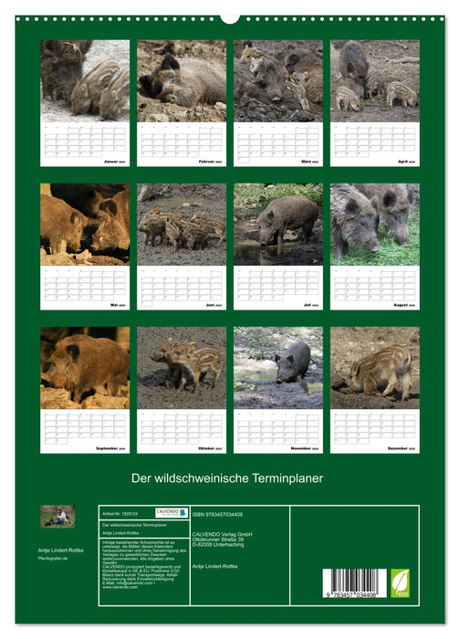 Der wildschweinische Terminplaner (CALVENDO Premium Wandkalender 2025)