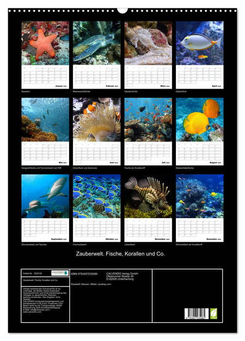 Zauberwelt. Fische, Korallen und Co. (CALVENDO Wandkalender 2025)