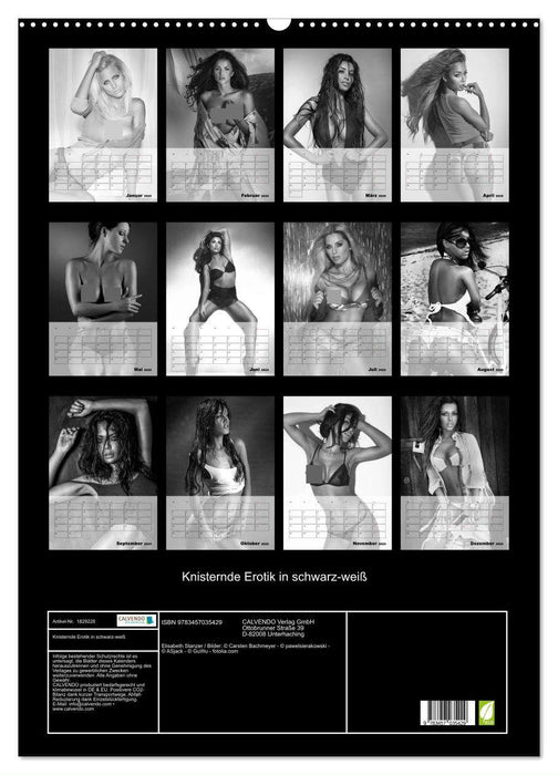 Knisternde Erotik in schwarz-weiß (CALVENDO Wandkalender 2025)