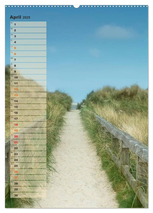 Zwischen Dünen und Watt / Geburtstagskalender (CALVENDO Premium Wandkalender 2025)