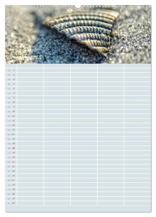 Kleine Sand-Schönheiten / Familienplaner (CALVENDO Premium Wandkalender 2025)