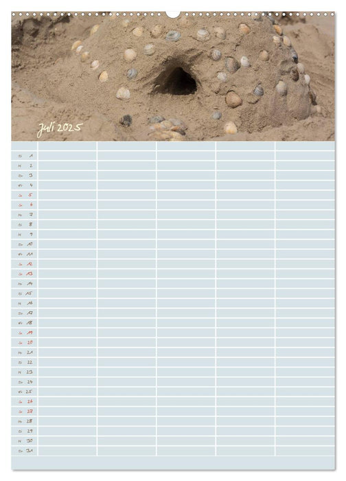 Kleine Sand-Schönheiten / Familienplaner (CALVENDO Premium Wandkalender 2025)