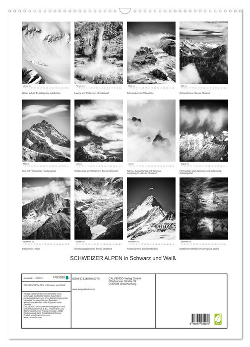 SCHWEIZER ALPEN in Schwarz und Weiß (CALVENDO Wandkalender 2025)