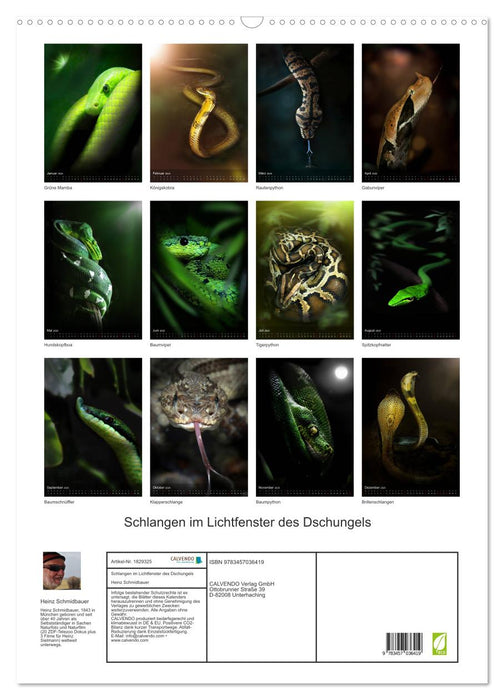 Schlangen im Lichtfenster des Dschungels (CALVENDO Wandkalender 2025)