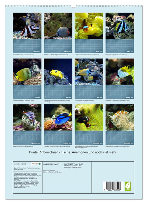 Bunte Riffbewohner - Fische, Anemonen und noch viel mehr (CALVENDO Premium Wandkalender 2025)