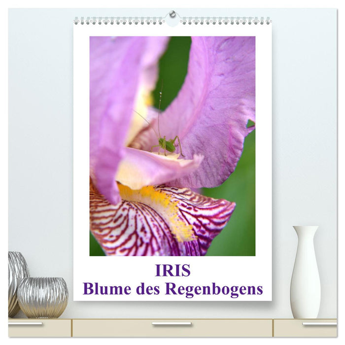 Iris, Blume des Regenbogens (CALVENDO Premium Wandkalender 2025)