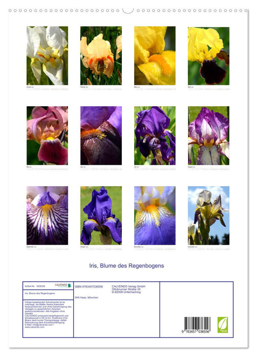 Iris, Blume des Regenbogens (CALVENDO Premium Wandkalender 2025)