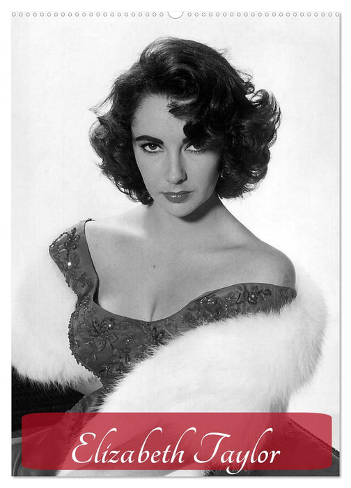 Elizabeth Taylor (CALVENDO Wandkalender 2025)