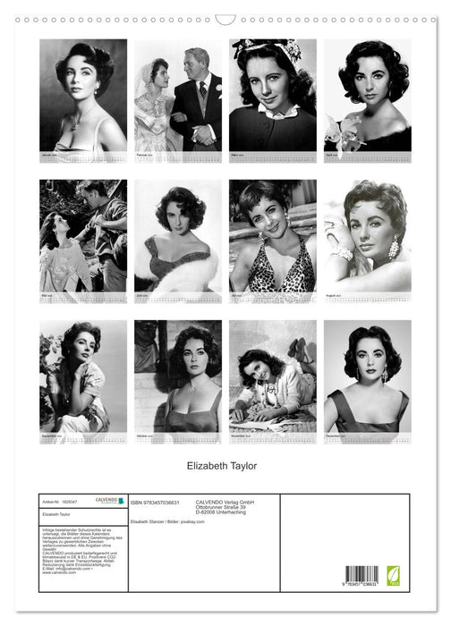 Elizabeth Taylor (CALVENDO Wandkalender 2025)