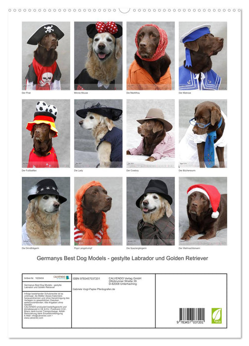 Germanys Best Dog Models - gestylte Labrador und Golden Retriever (CALVENDO Premium Wandkalender 2025)