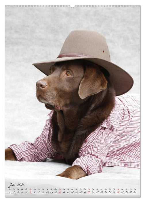 Germanys Best Dog Models - gestylte Labrador und Golden Retriever (CALVENDO Premium Wandkalender 2025)