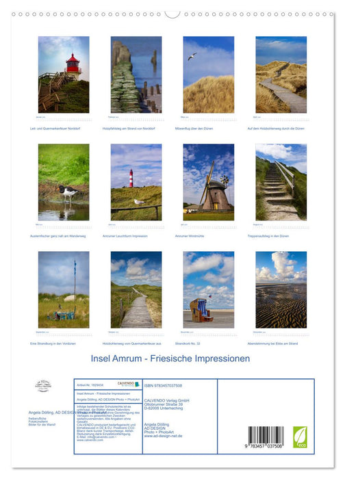 Insel Amrum - Friesische Impressionen (CALVENDO Premium Wandkalender 2025)