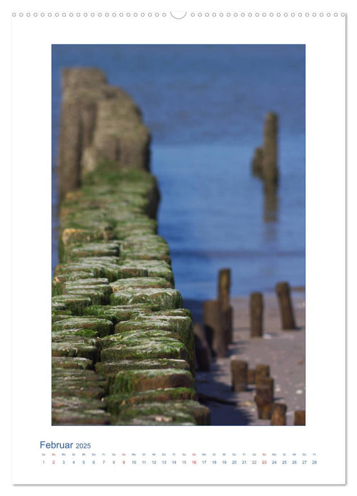 Insel Amrum - Friesische Impressionen (CALVENDO Premium Wandkalender 2025)