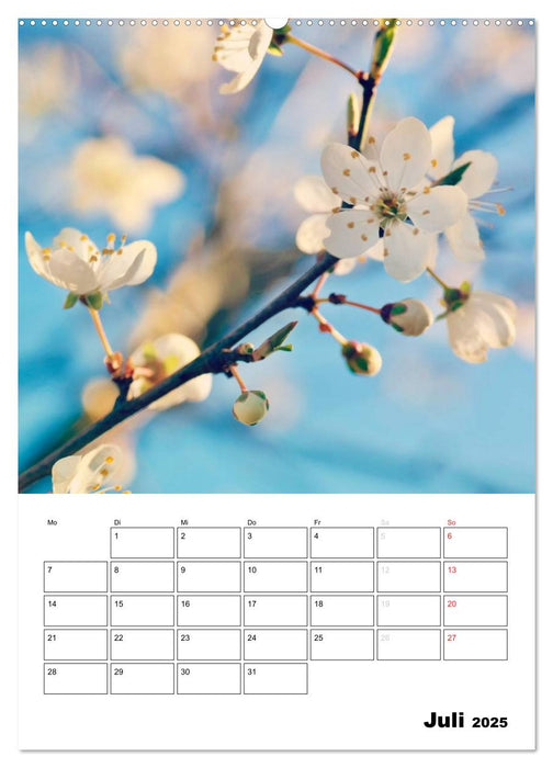 Zauberhafte Blütenwelt / Planer (CALVENDO Premium Wandkalender 2025)