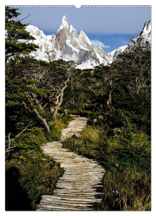 Magische Berge Patagoniens: Cerro Torre (CALVENDO Premium Wandkalender 2025)