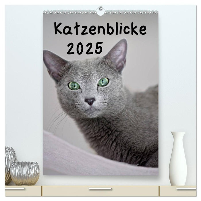 Katzenblicke 2025 (CALVENDO Premium Wandkalender 2025)