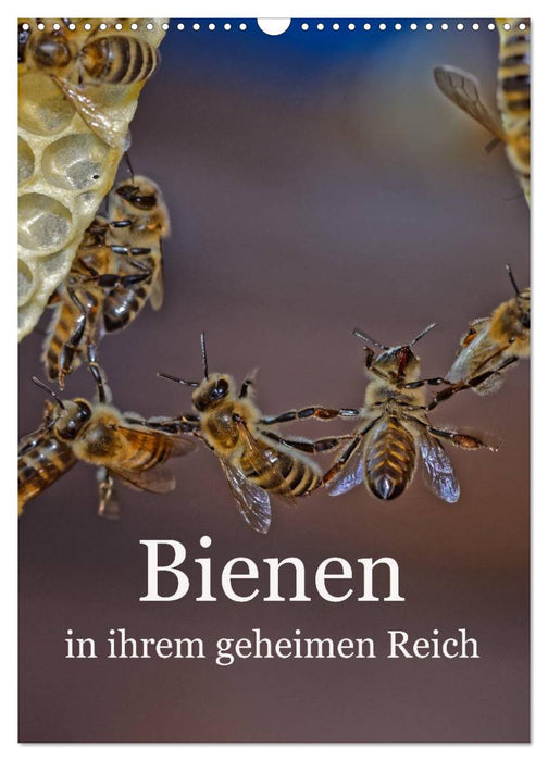 Bienen in ihrem geheimen Reich (CALVENDO Wandkalender 2025)