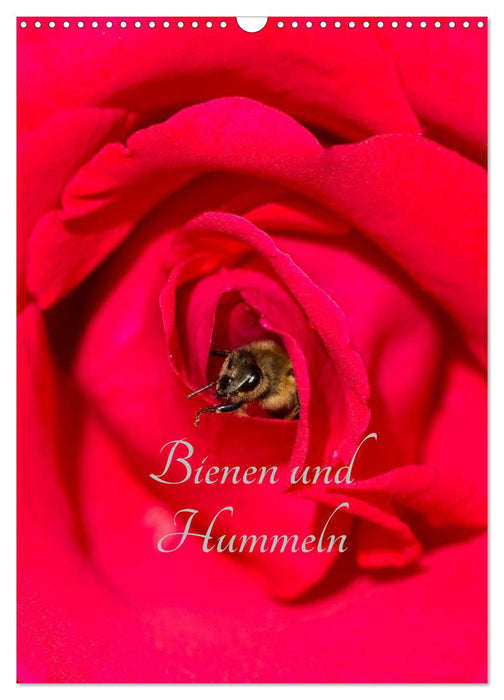 Bienen und Hummeln (CALVENDO Wandkalender 2025)