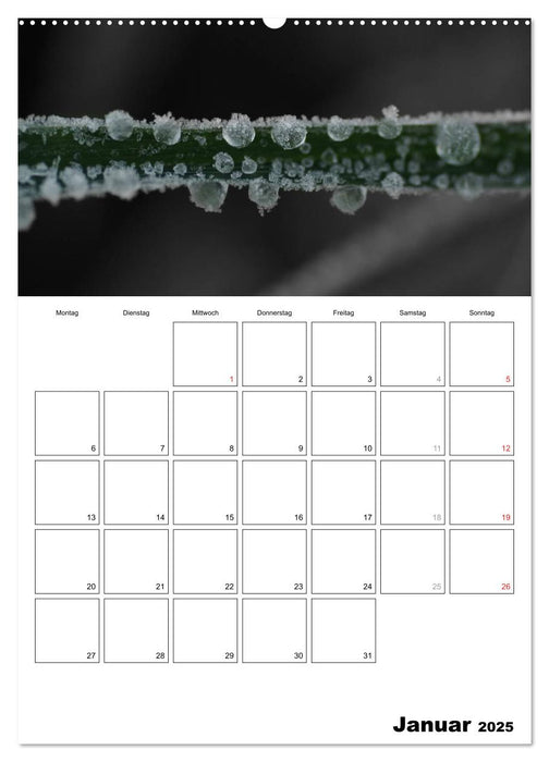 schwarz/weiß trifft farbe - DEIN TERMINKALENDER / Planer (CALVENDO Premium Wandkalender 2025)