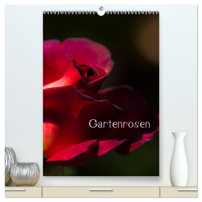 Gartenrosen (CALVENDO Premium Wandkalender 2025)