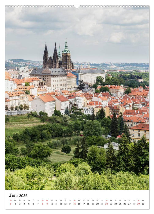 Prachtvolles Prag (CALVENDO Wandkalender 2025)