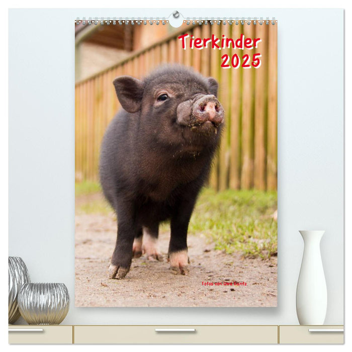 Tierkinder (CALVENDO Premium Wandkalender 2025)