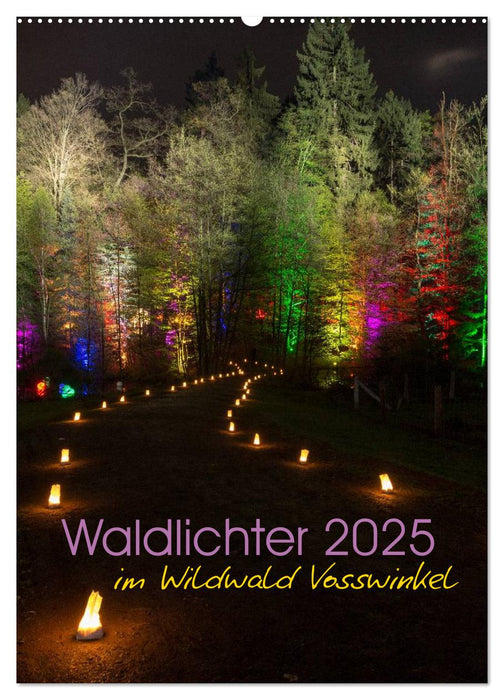 Waldlichter im Wildwald Vosswinkel 2025 (CALVENDO Wandkalender 2025)