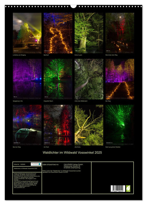 Waldlichter im Wildwald Vosswinkel 2025 (CALVENDO Wandkalender 2025)