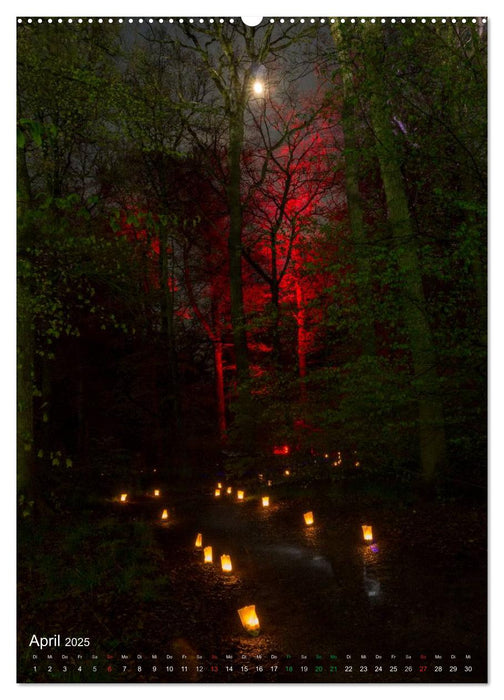 Waldlichter im Wildwald Vosswinkel 2025 (CALVENDO Wandkalender 2025)