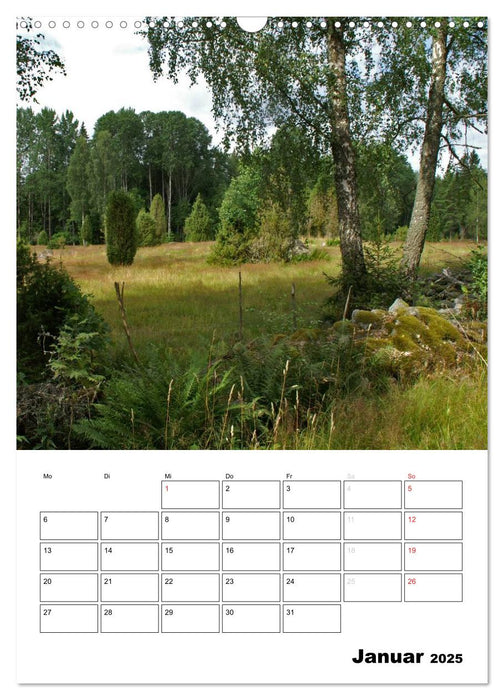 Zauberschönes Schweden (CALVENDO Wandkalender 2025)