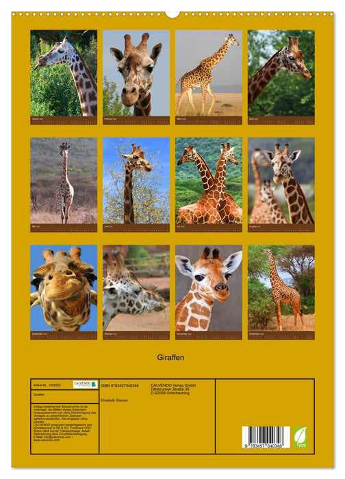 Giraffen (CALVENDO Premium Wandkalender 2025)