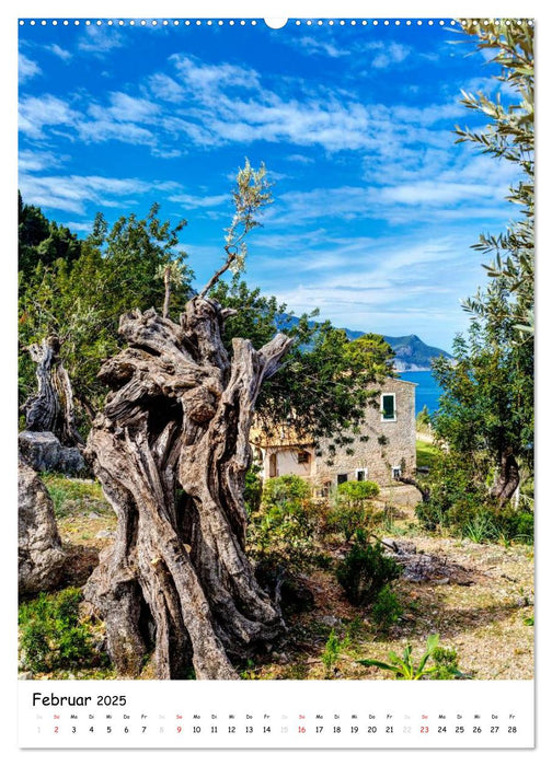 Mallorca - wild und romantisch (CALVENDO Wandkalender 2025)