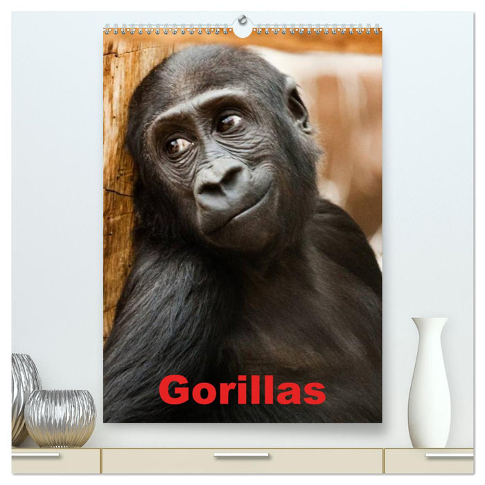 Gorillas (CALVENDO Premium Wandkalender 2025)