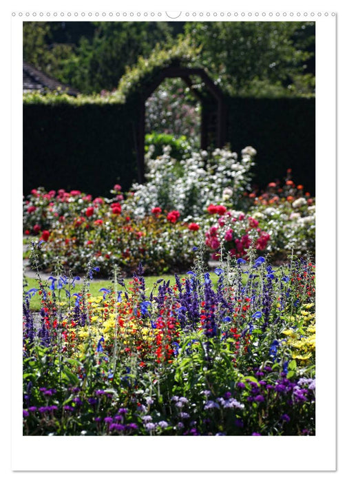 Farbtupferl - Botanischer Garten Augsburg (CALVENDO Premium Wandkalender 2025)