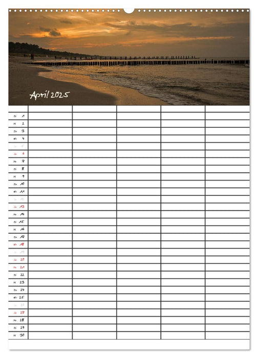 Urlaubsparadies Fischland Darß - Familienplaner (CALVENDO Wandkalender 2025)