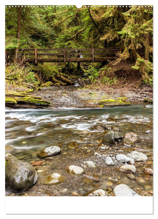 Weltnaturerbe Olympic National Park (CALVENDO Wandkalender 2025)