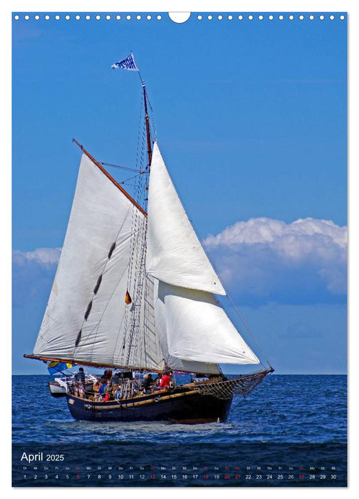 Schoner, Haikutter und Co. - Segelschiffe auf der Ostsee (CALVENDO Wandkalender 2025)