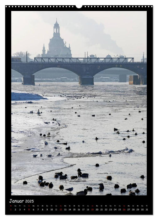 Frauenkirche Dresden (CALVENDO Premium Wandkalender 2025)