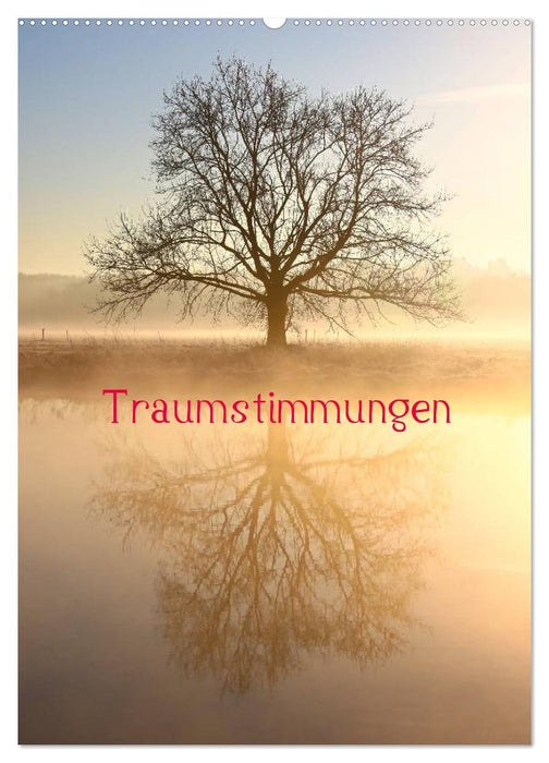 Traumstimmungen (CALVENDO Wandkalender 2025)